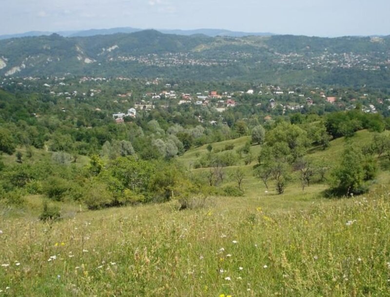 Breaza, Prahova, teren intravilan, 5000 mp,
