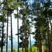 Breaza, Prahova, teren intravilan, 5000 mp,